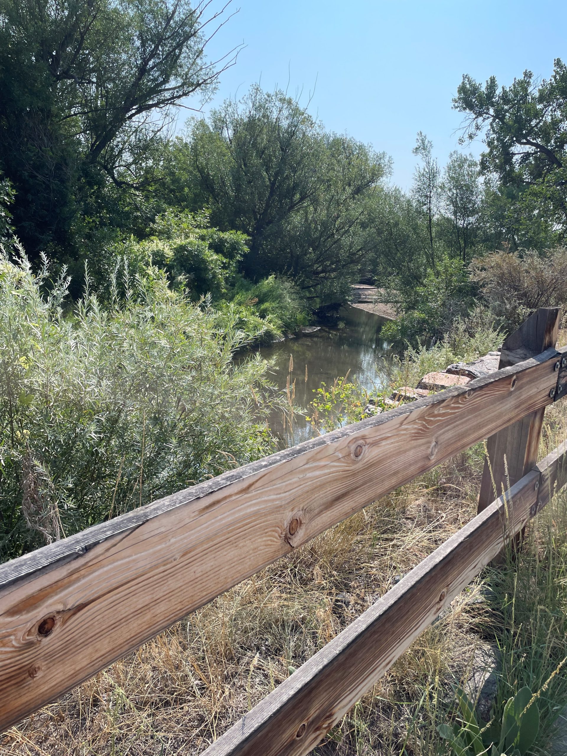 cherry creek state park bike trails